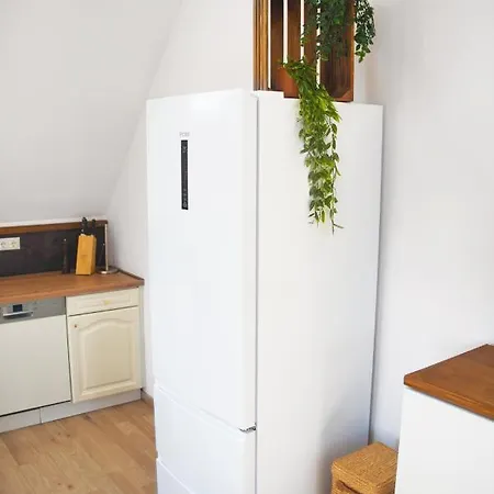 Luxus Apartment! Kueche, Balkon, Netflix, Parkplatz - 8 Personen Ilmmunster Exterior photo